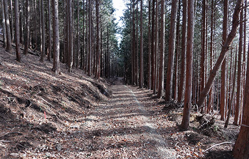 山道